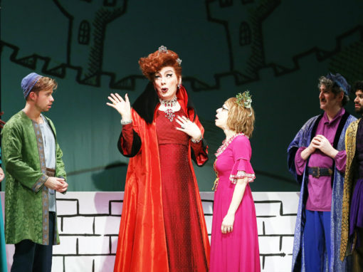 Once Upon a Mattress